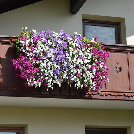 Meixner Daire